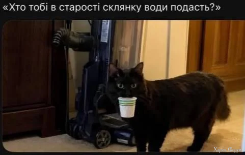 1784750312969.webp