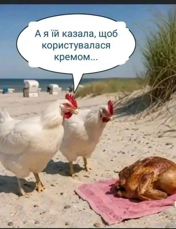 1784831322184.webp