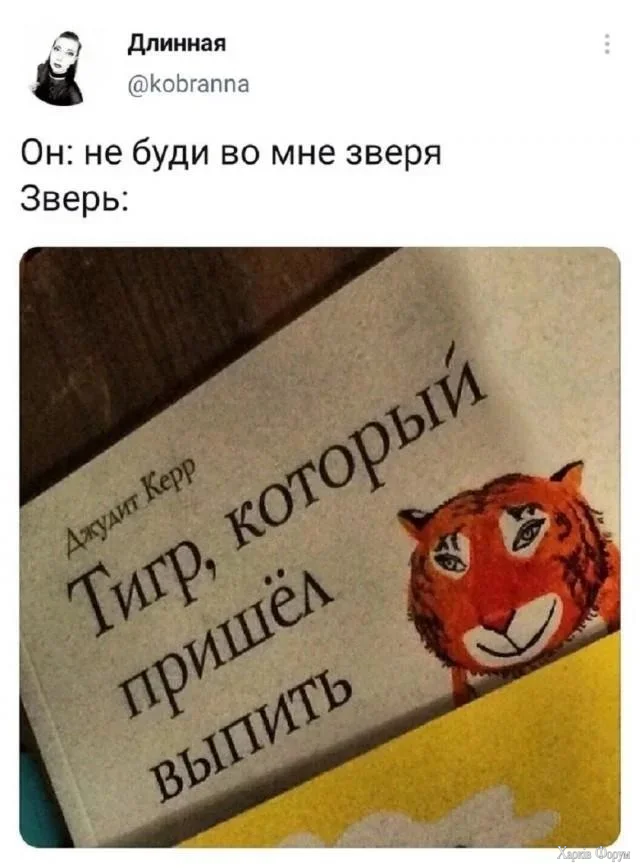 1784914669701.webp