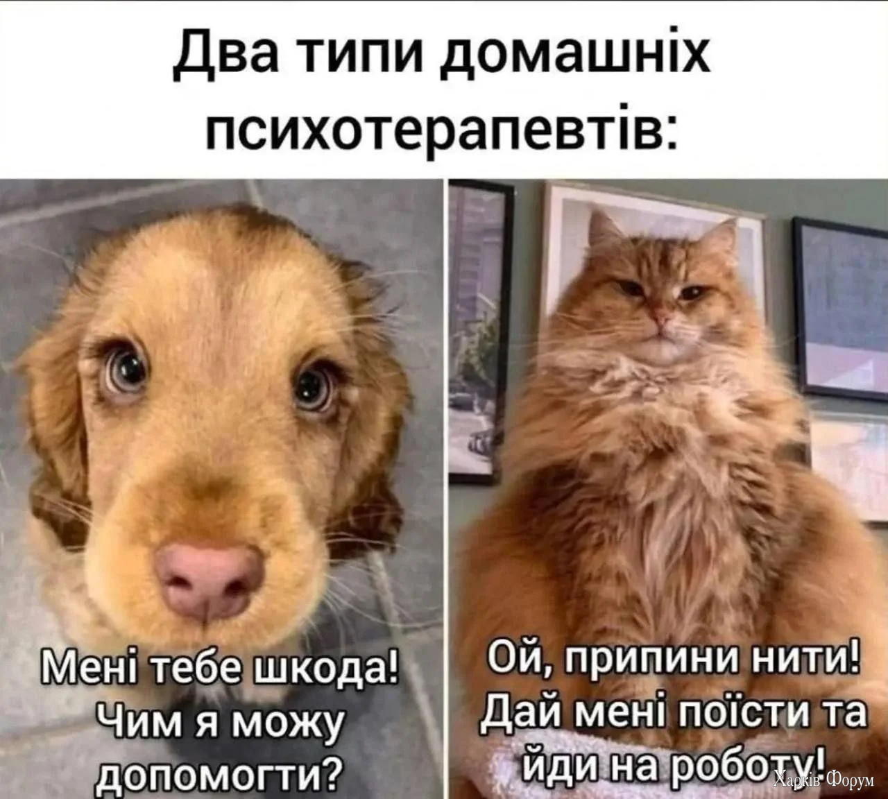 1785133572433.webp