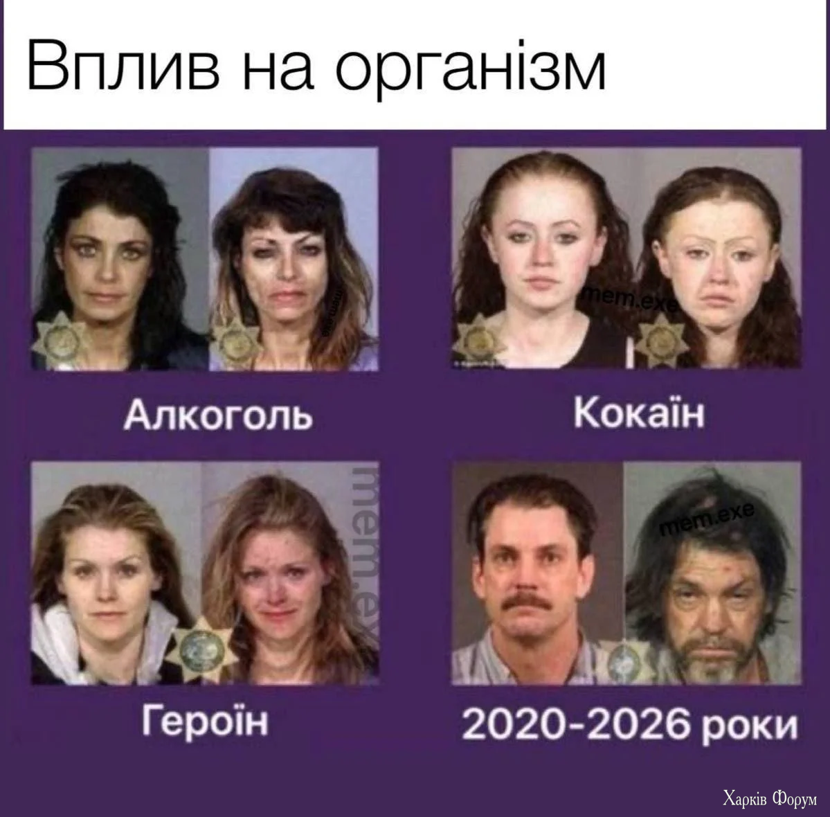 1785481321540.webp