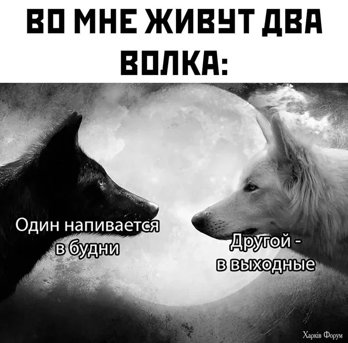 1785526636685.webp
