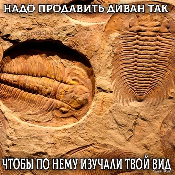 1785599542692.webp