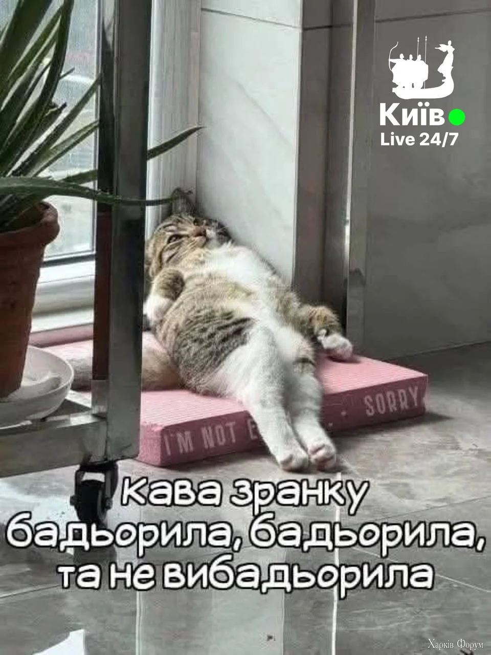 1785648153835.webp