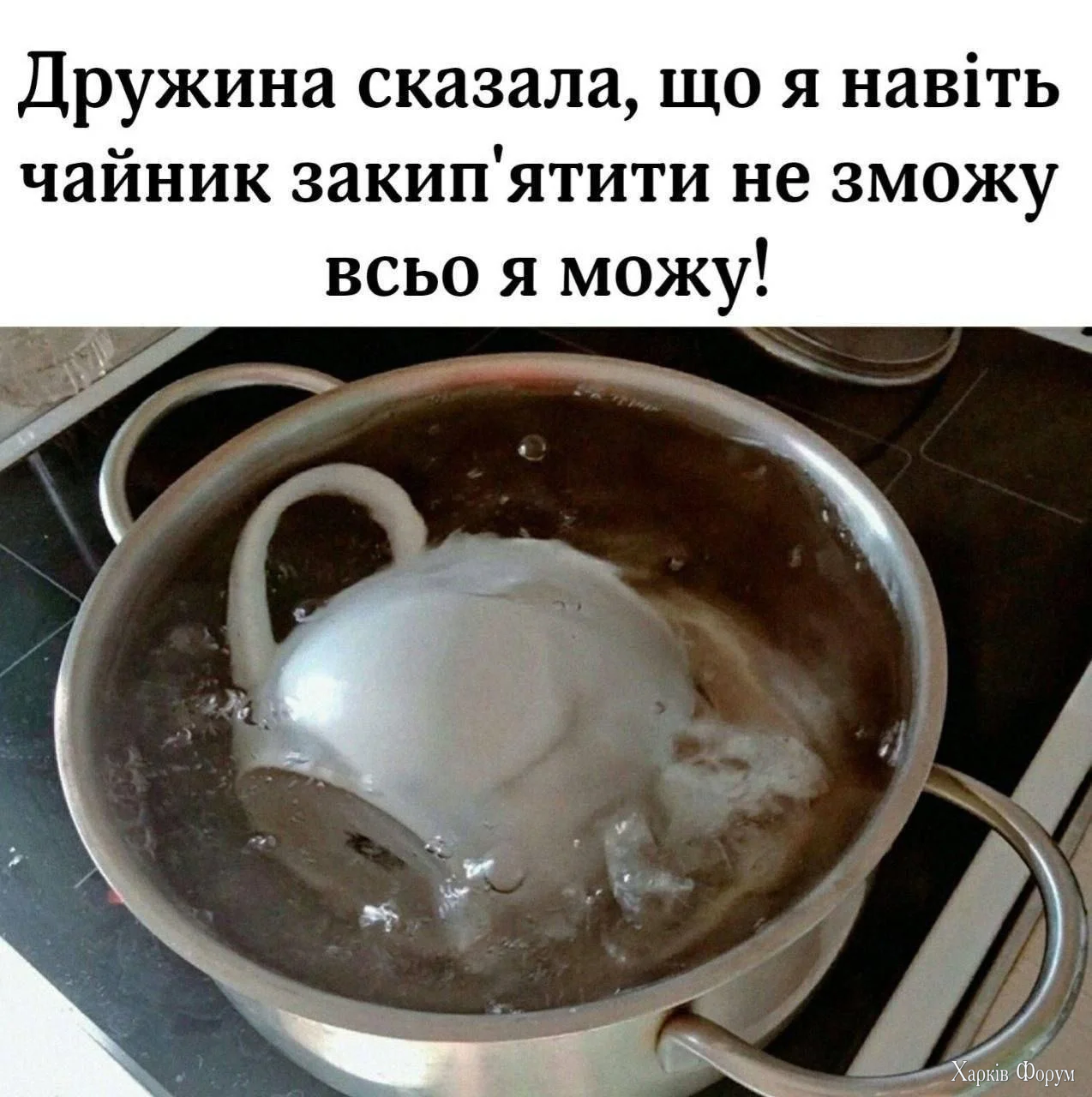 1785696920801.webp