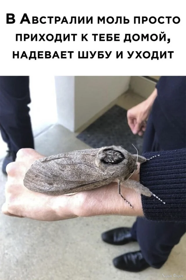 1785955403736.webp