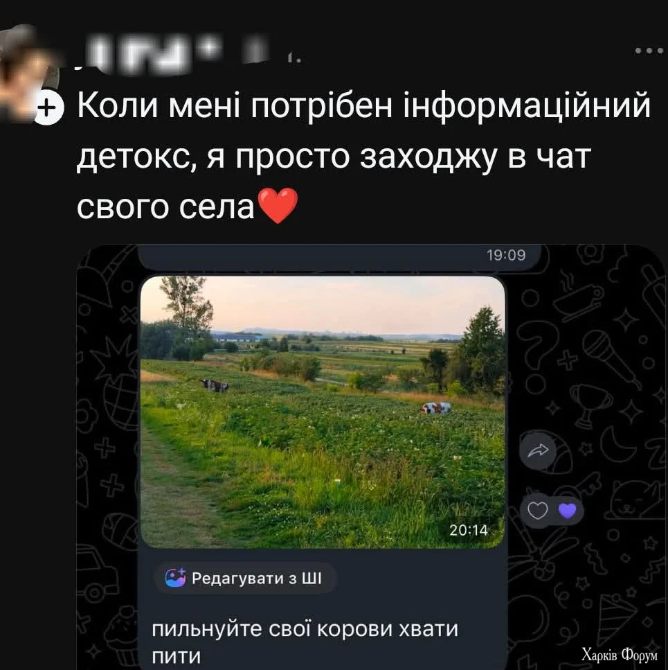 1786096390094.webp