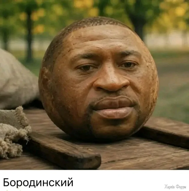 1786358813388.webp