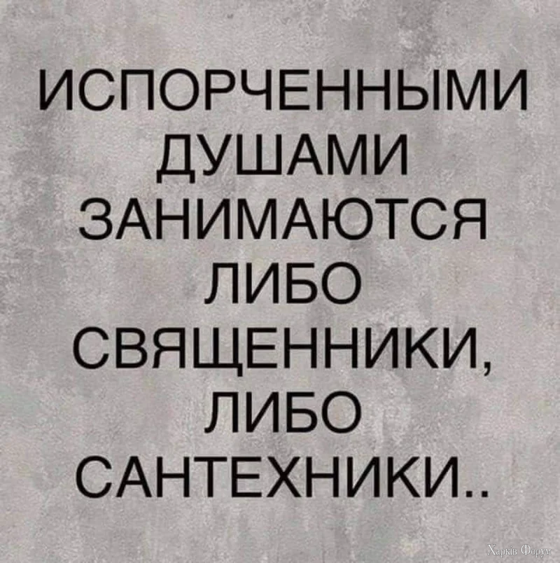1786453635416.webp