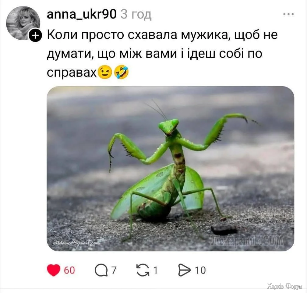 1786539422280.webp