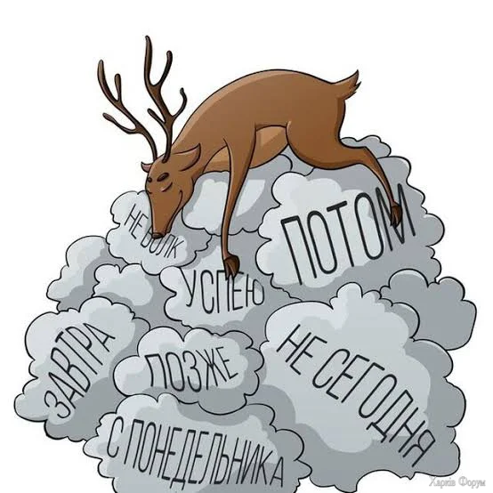 1786597296386.webp
