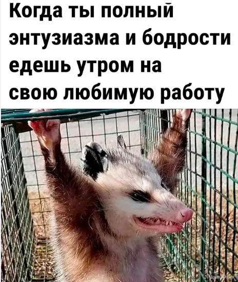 1786625255439.webp
