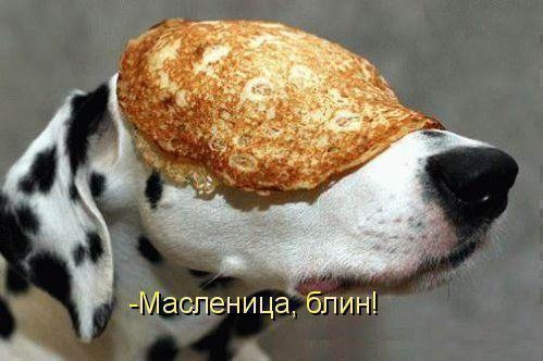 178662_373356.jpg