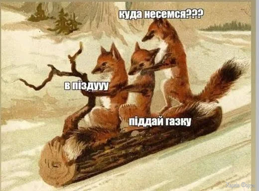 1786652291830.webp