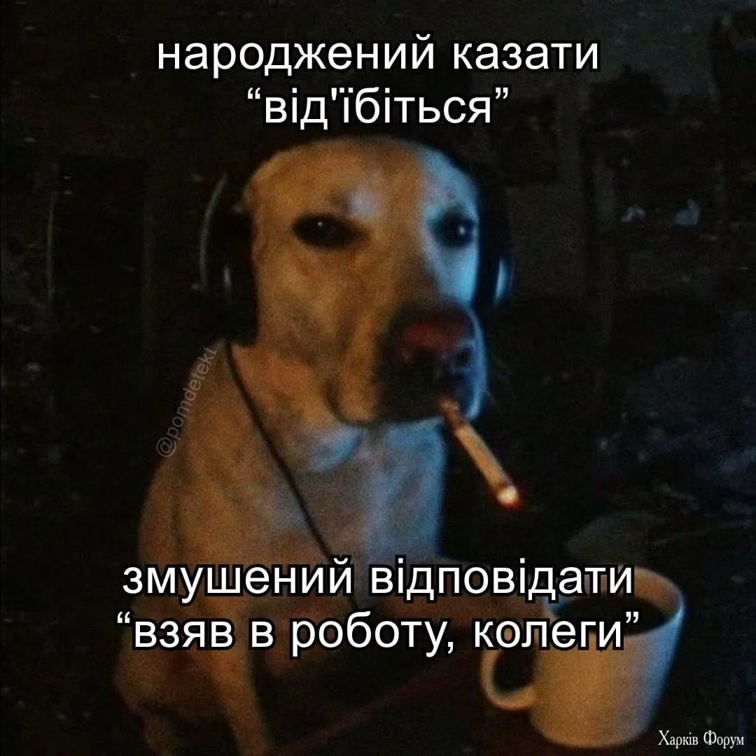 1786689881569.webp