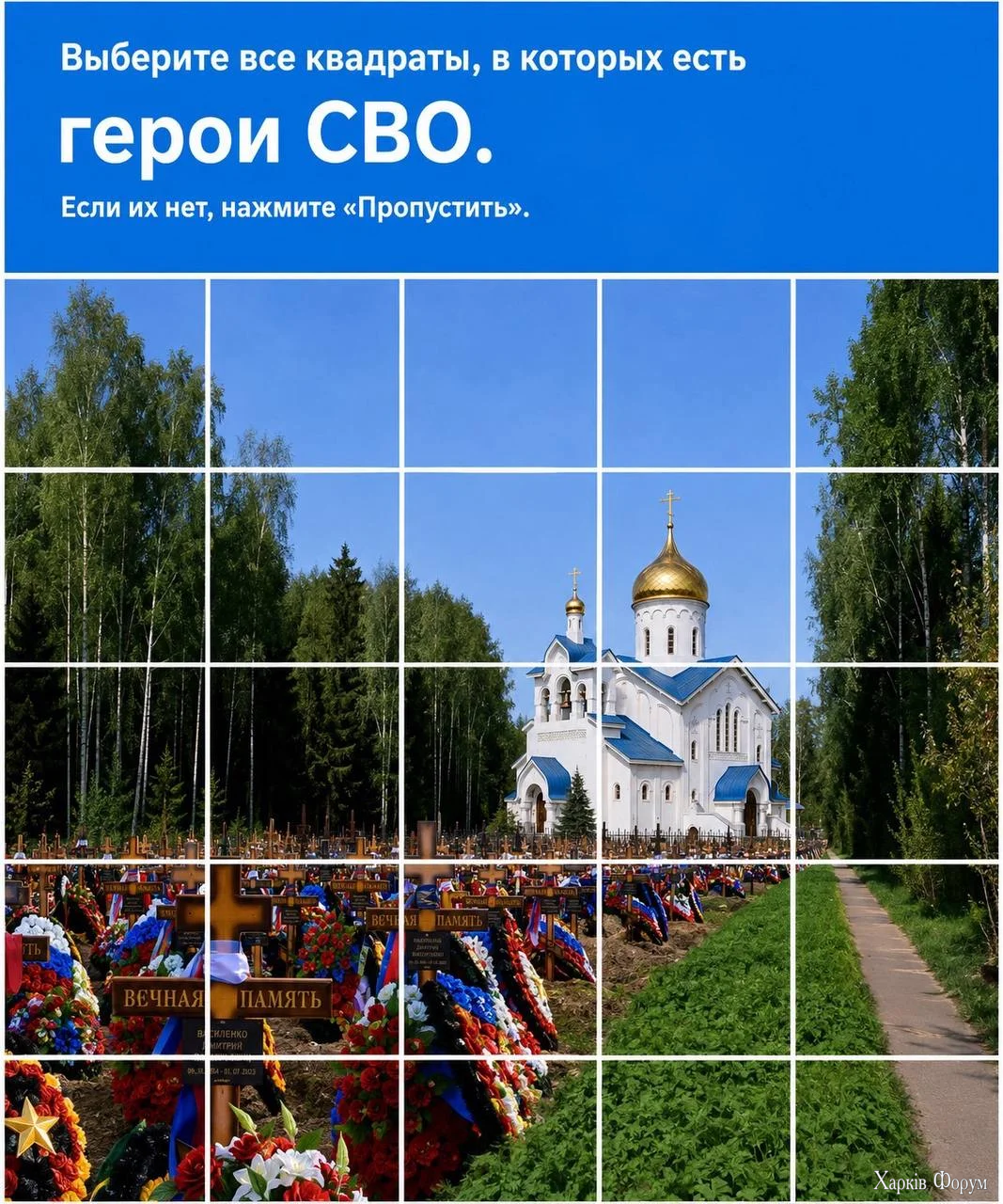 1786723054911.webp