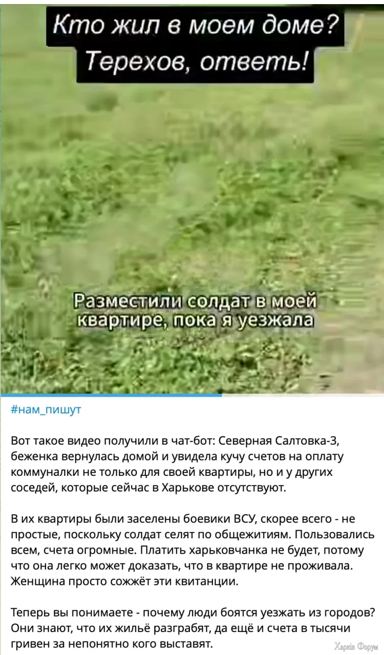 1786829689279.webp
