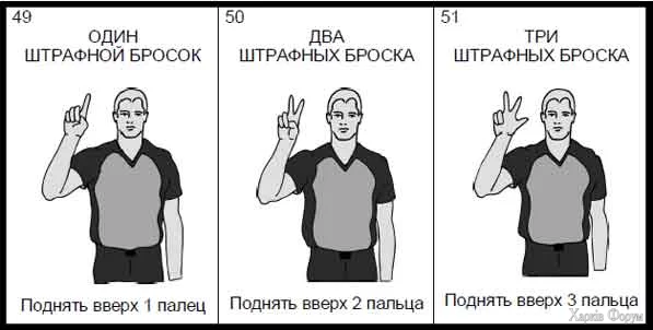 1786972371818.webp