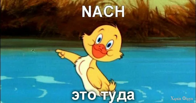 1787004417779.webp