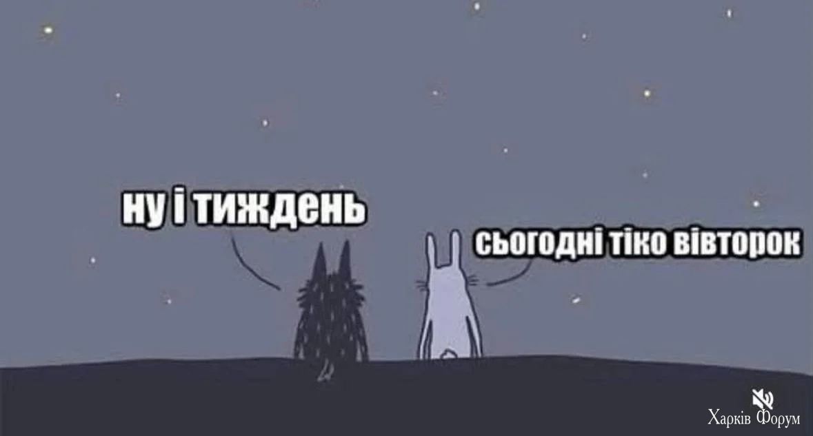 1787076241620.webp