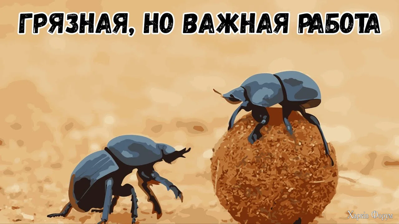 1787225023584.webp
