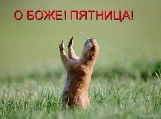 1787295032725.webp