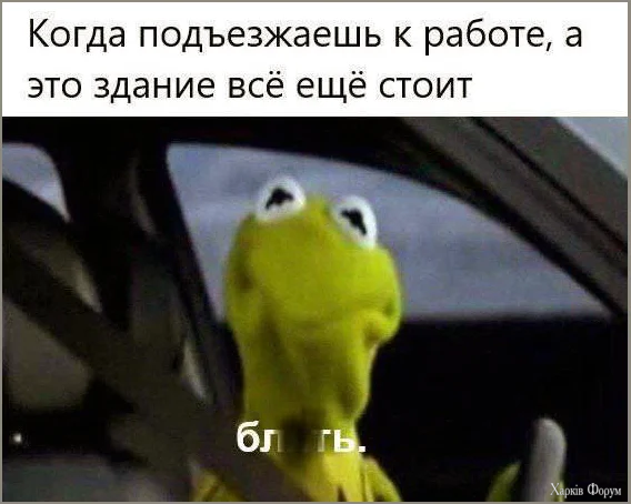 1787463710696.webp