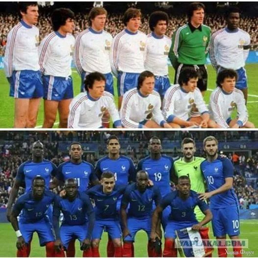 1787665914939.webp