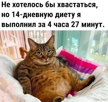 1787766783105.webp