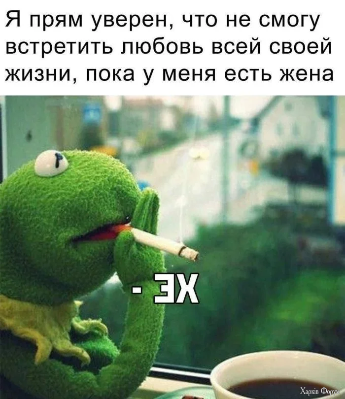 1787997261157.webp