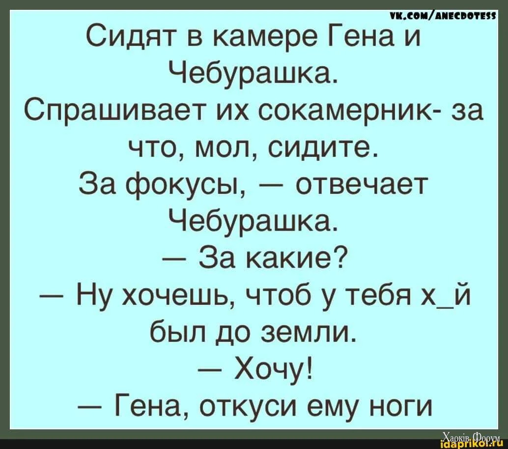 1788042476482.webp