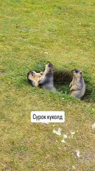1788120422295.webp