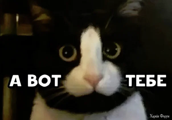 1788235326851.webp