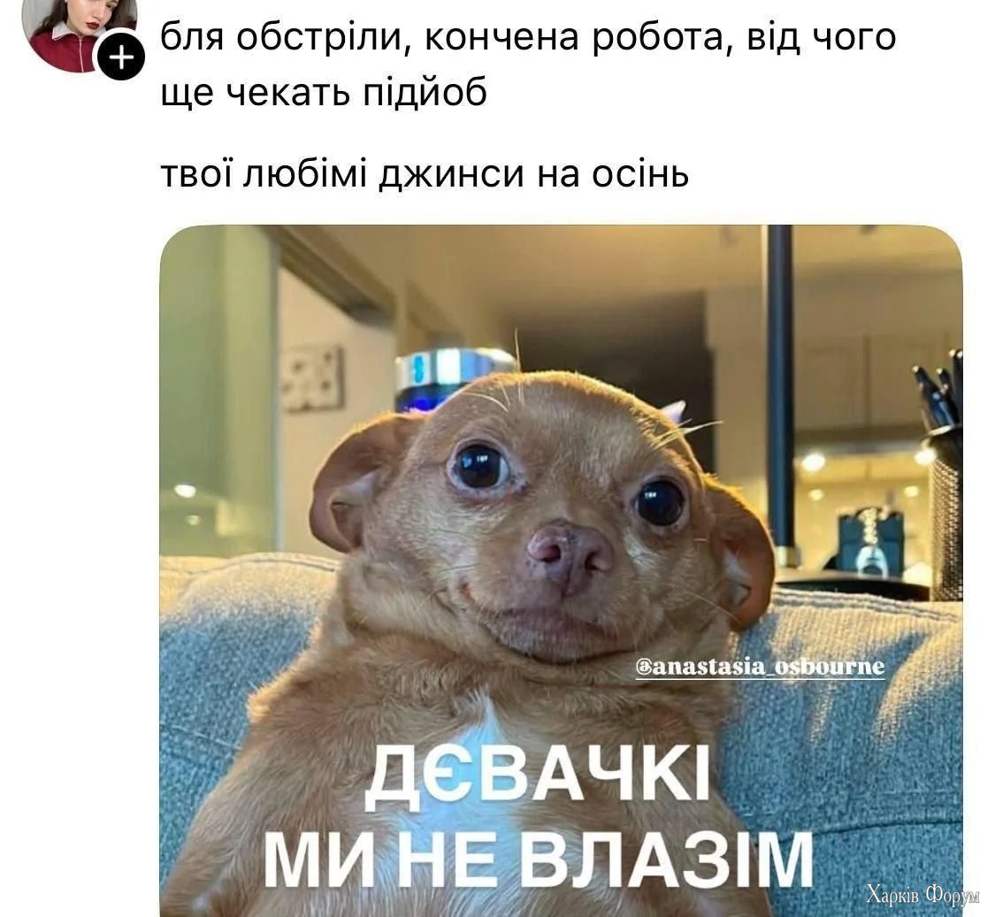 1788331267281.webp
