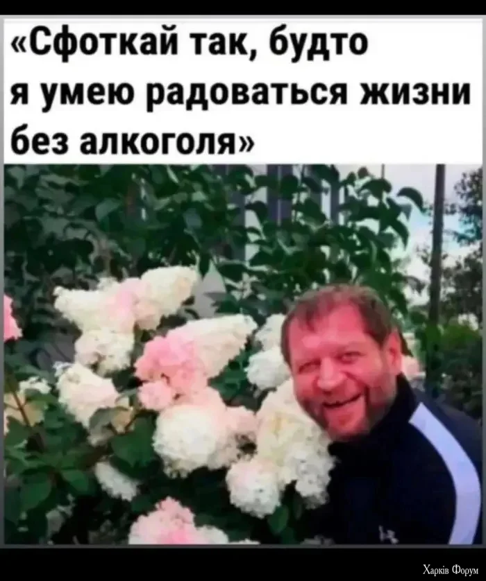 1788414422348.webp