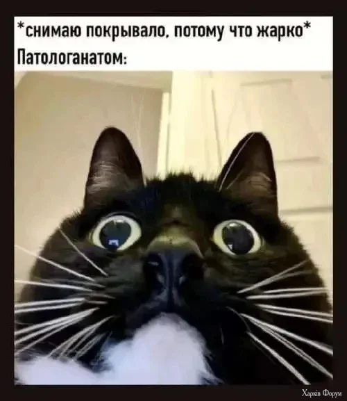 1788414495183.webp