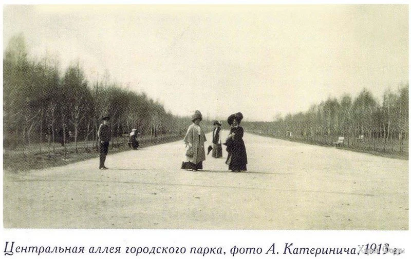 1788428333901.webp