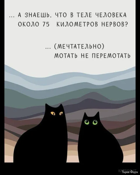 1788693627462.webp