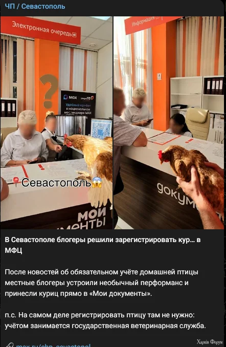 1788720355541.webp