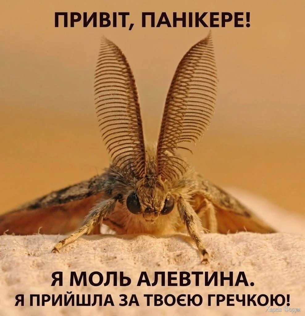 1788723192385.webp