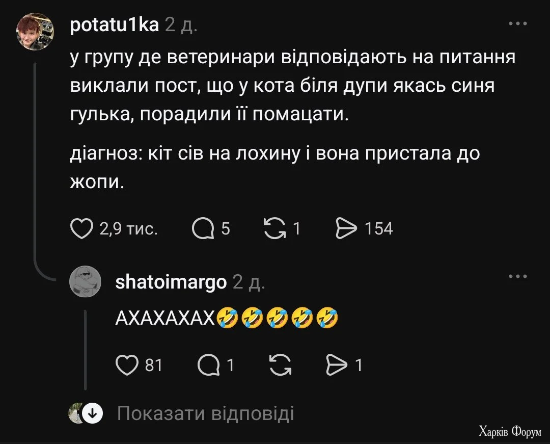 1788763883165.webp