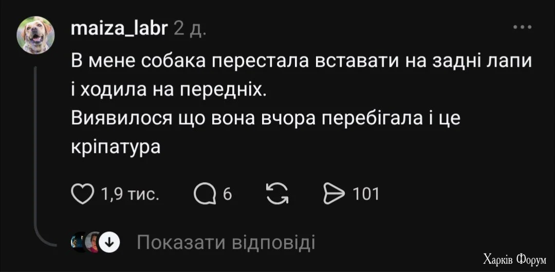 1788763883169.webp
