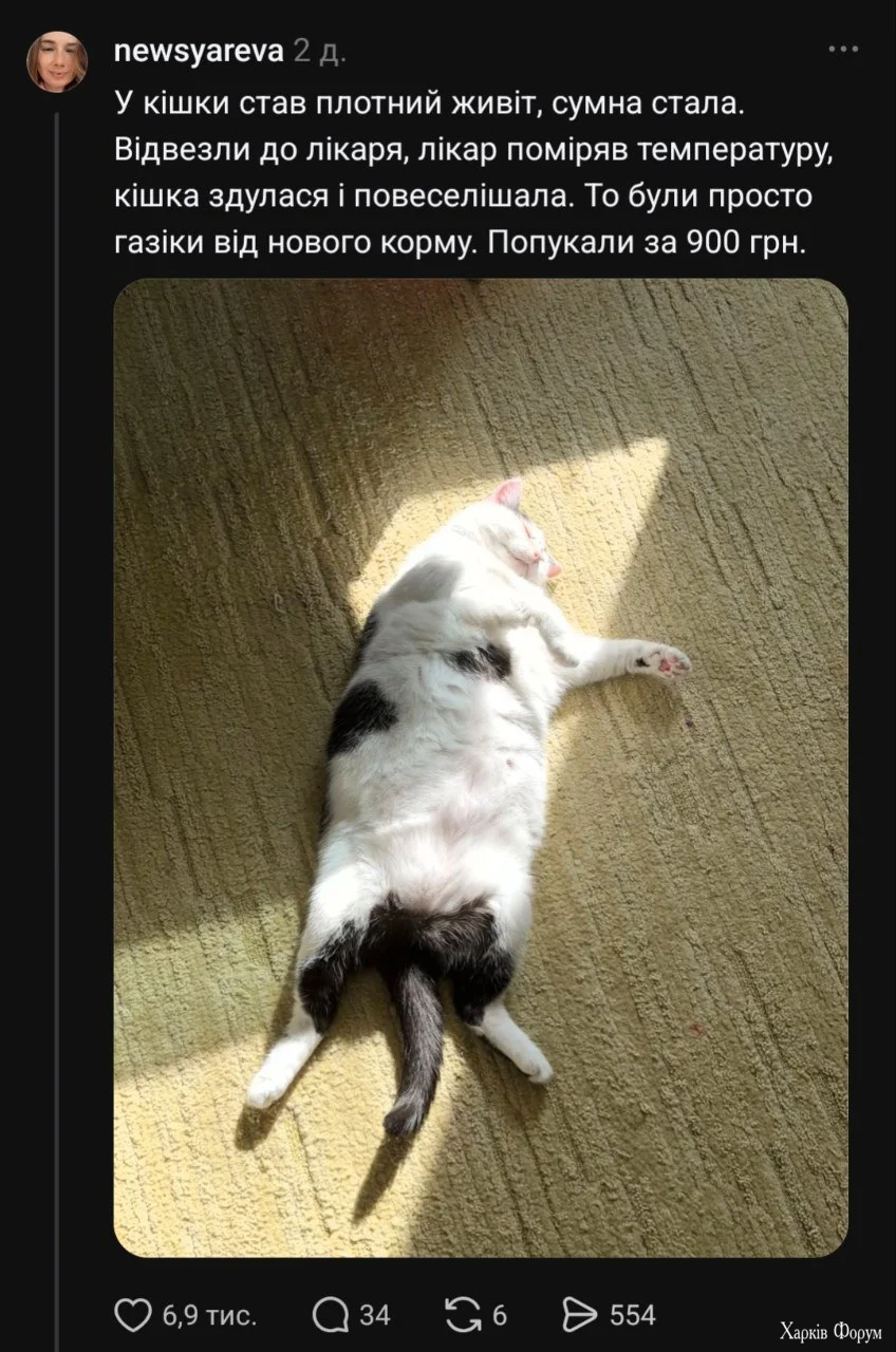 1788763883178.webp