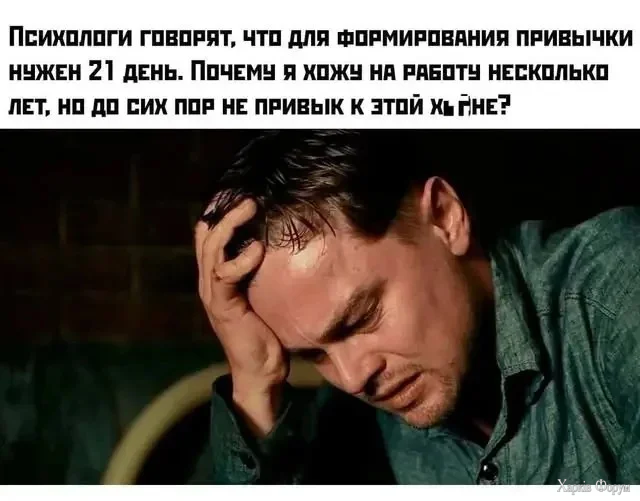 1788775678930.webp
