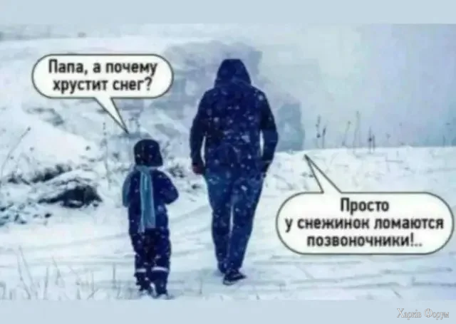 1788778520102.webp