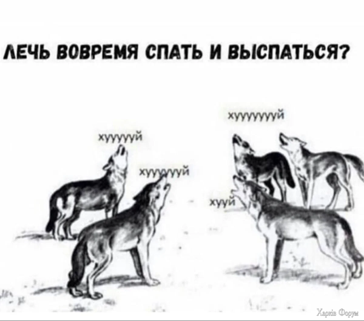 1789756442123.webp