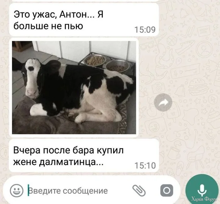 1789797449896.webp