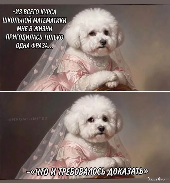 1789798368357.webp