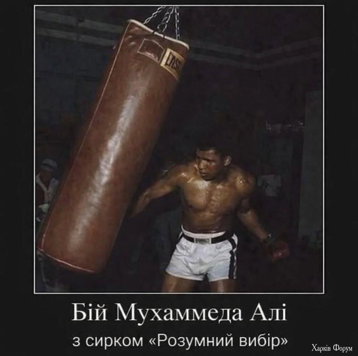1789801089380.webp