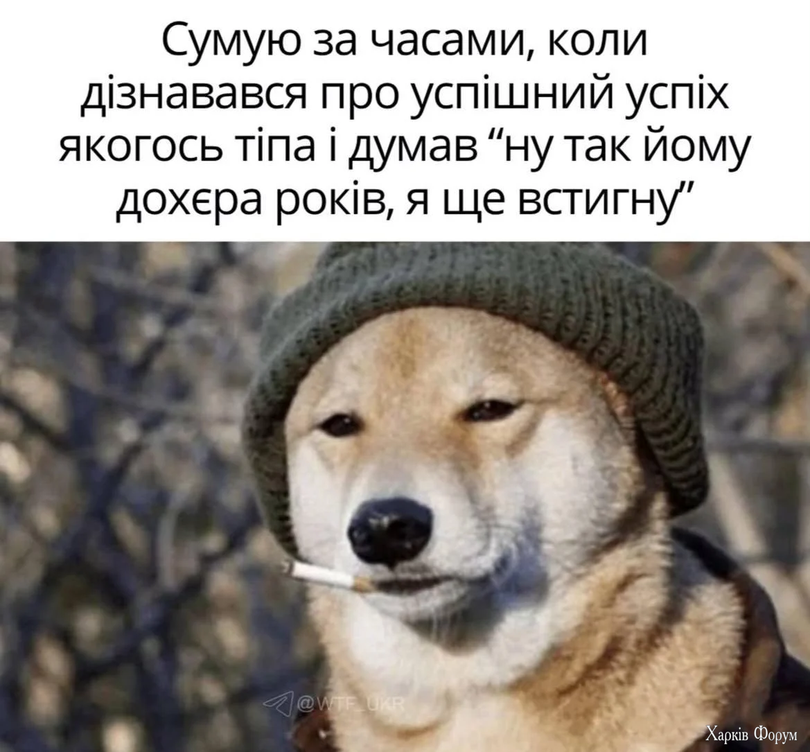1789843642651.webp
